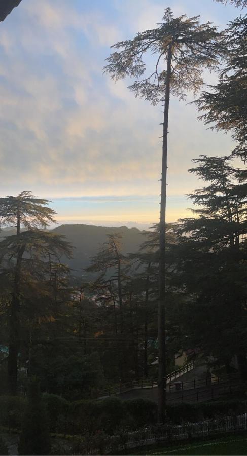 The Edgeworth Bed & Breakfast Shimla Ngoại thất bức ảnh